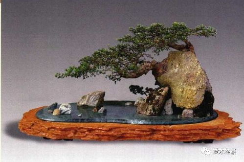 水泥構(gòu)件在樹(shù)石盆景中的創(chuàng)新藝術(shù)表現(xiàn)